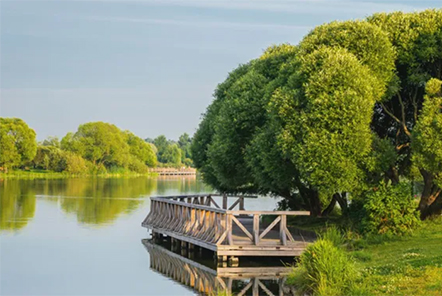 Природное окружение